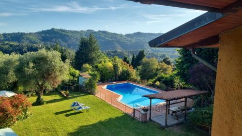 Il Carnasciale Pieve di Camaiore Bouganville in Camaiore, Italy