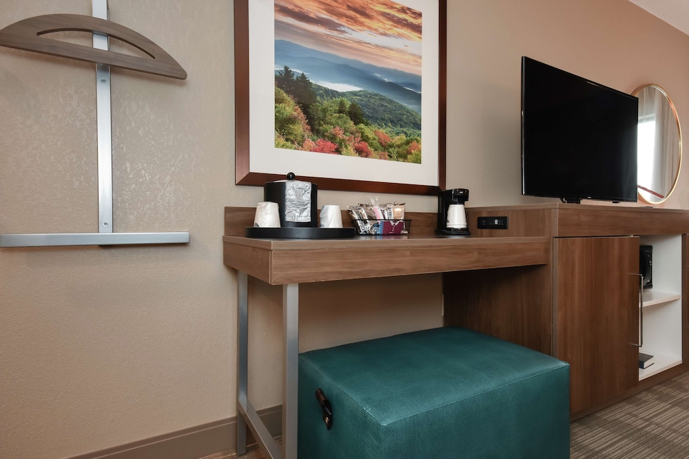 Hampton Inn Brevard - photo 8