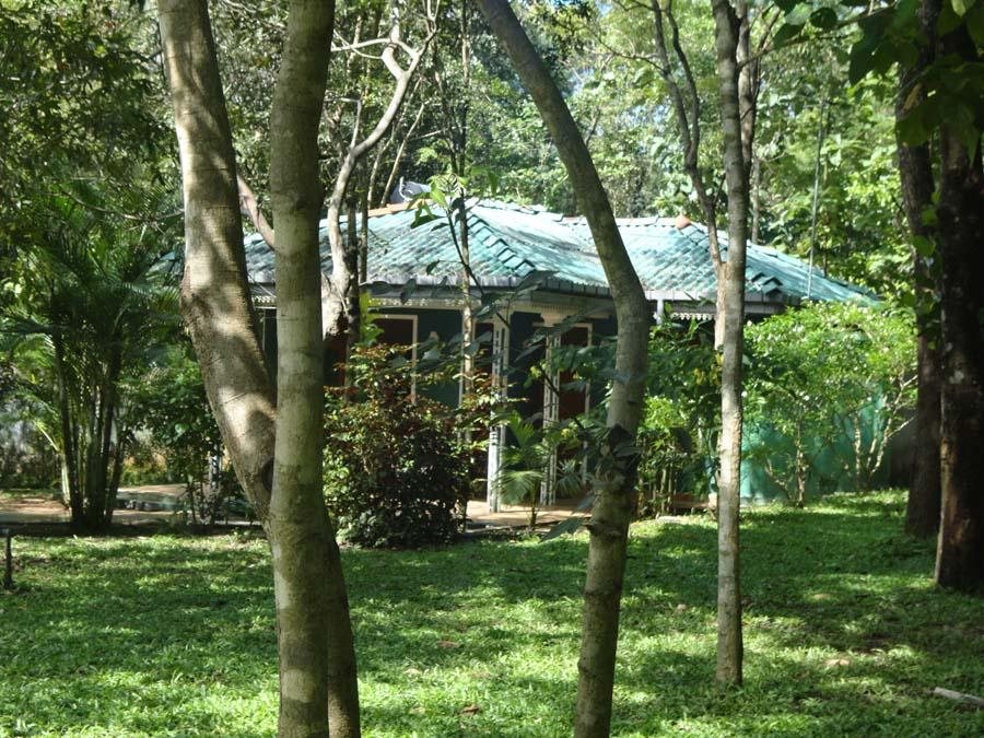 Deshani Holiday Inn in Dambulla, Sri Lanka