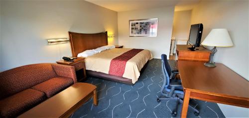 Economy 7 Inn - photo 7