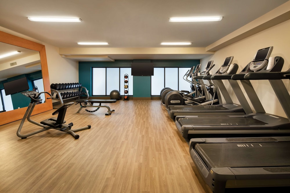 Embassy Suites by Hilton New Orleans - photo 40
