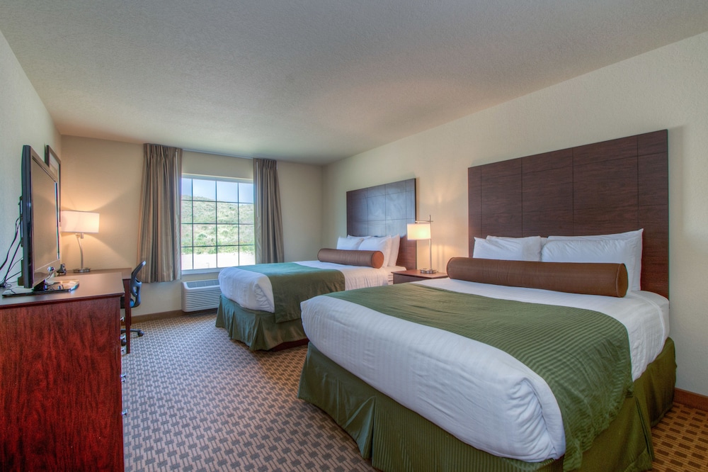 Cobblestone Hotel & Suites Hutchinson - photo 15
