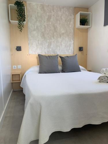 Palmar a Tres Minutos Andando de la Playa No Grupos in Vejer De La Frontera, Spain