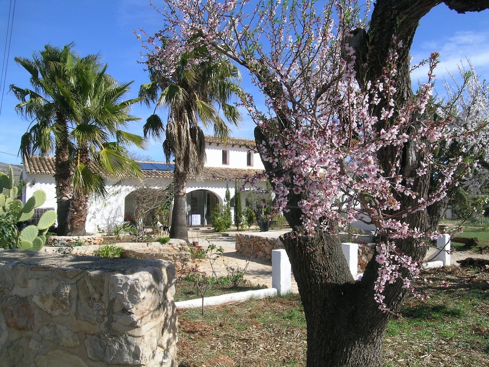 Buena Idea Adults Only — 4-Star Luxury Hotel in Jalon, Spain