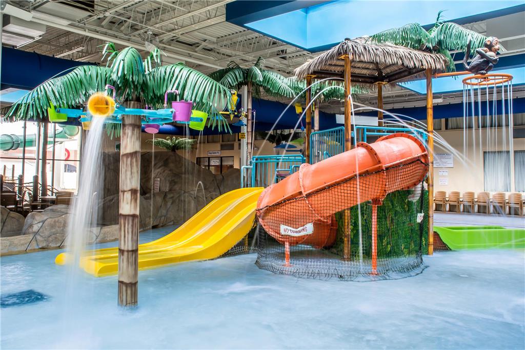 Quality Inn & Suites Palm Island Indoor Waterpark - photo 21