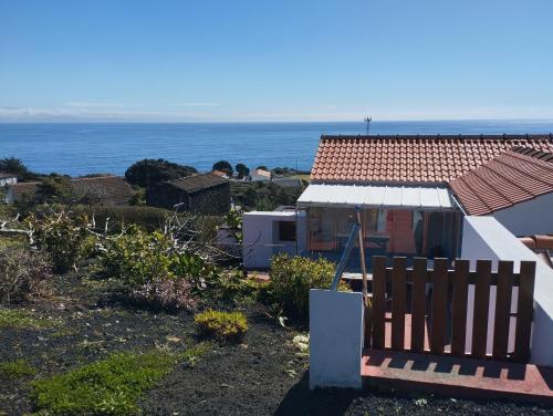 Lobo do Mar in Unknown City, Portugal
