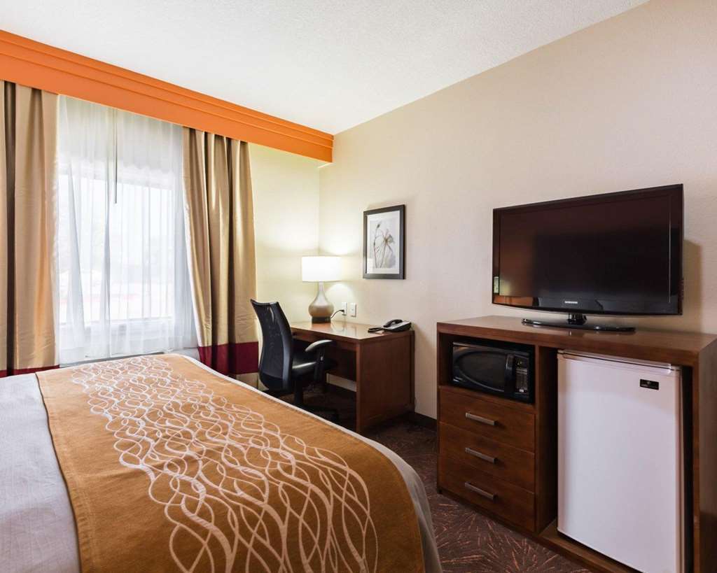 Econo Lodge Inn & Suites East - photo 27