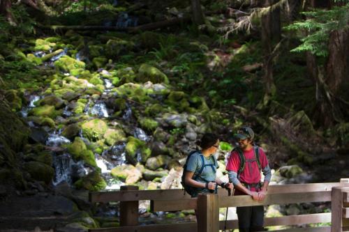 Sol Duc Hot Springs Resort - photo 17