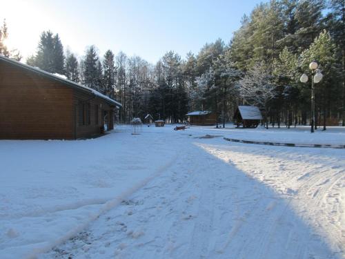 Vanago Lizdas — Druskininkai — photo 5