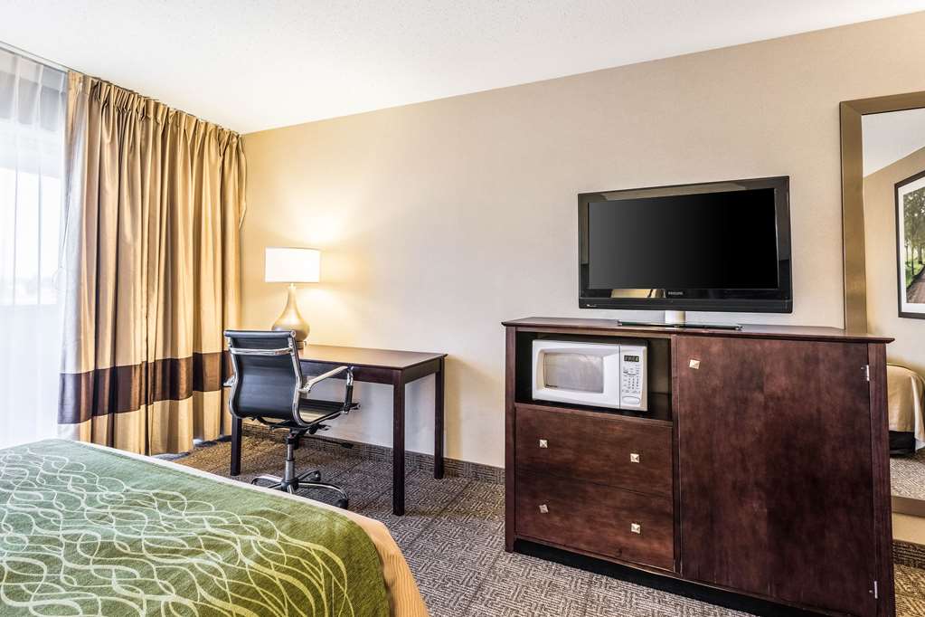 Comfort Inn Lansing West - photo 12