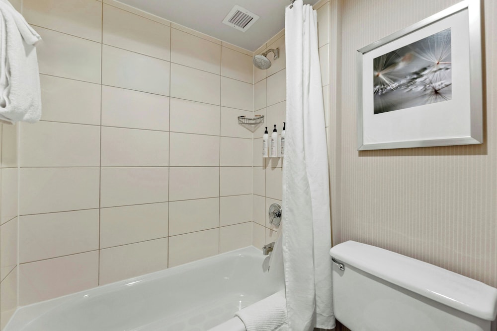 Delta Hotels by Marriott Mount Pleasant - photo 57