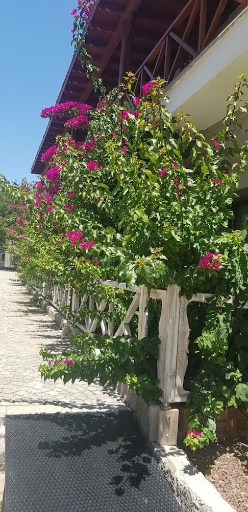 Mausolos Beach Hotel - last minute hotel in Bodrum