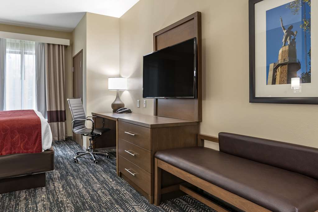 Comfort Inn & Suites Downtown near University - photo 23