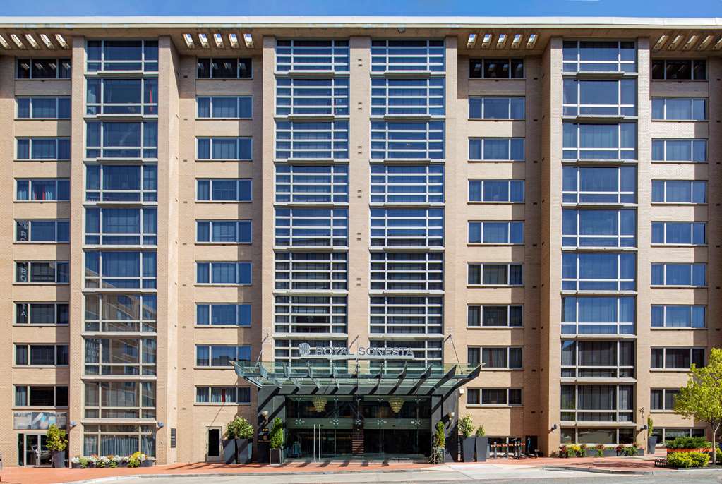 The Royal Sonesta Washington DC Dupont Circle - photo 4