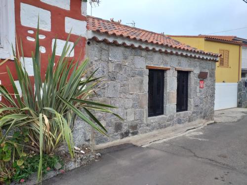 El Pajar — Vega De San Mateo — photo 2
