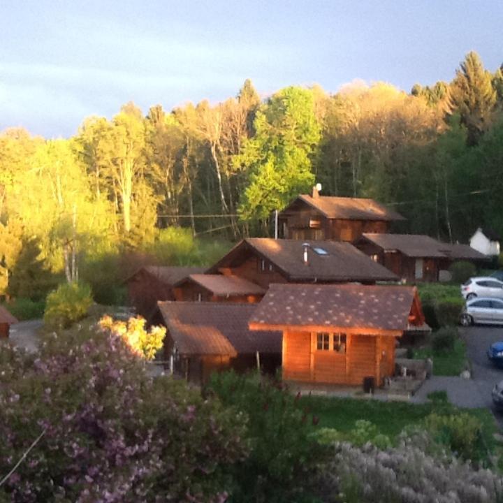 Le Bois Rame — hotel in Neuvecelle