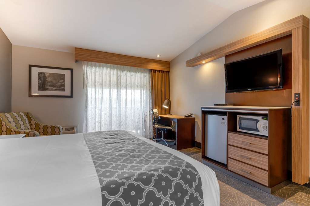 Best Western Plus Forest Park Inn - photo 49