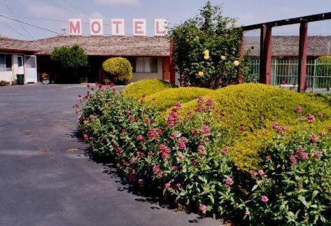 Wiebe Motel - photo 24
