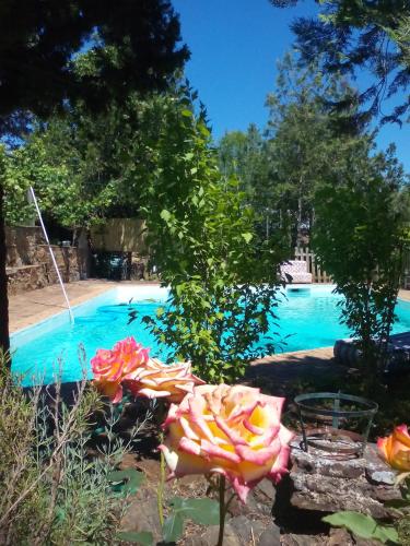 Cortijo El Berrocal — hotel in Cazalla De La Sierra