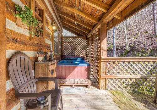 Bear End Relax in Hot Tub Specials FREE Area Attraction Tickets - photo 12