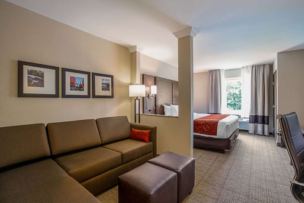 Comfort Suites Fishkill near Interstate 84 - photo 14