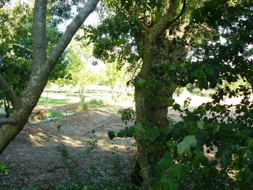 Les Plénitudes du Rivage — Jard-Sur-Mer — photo 5