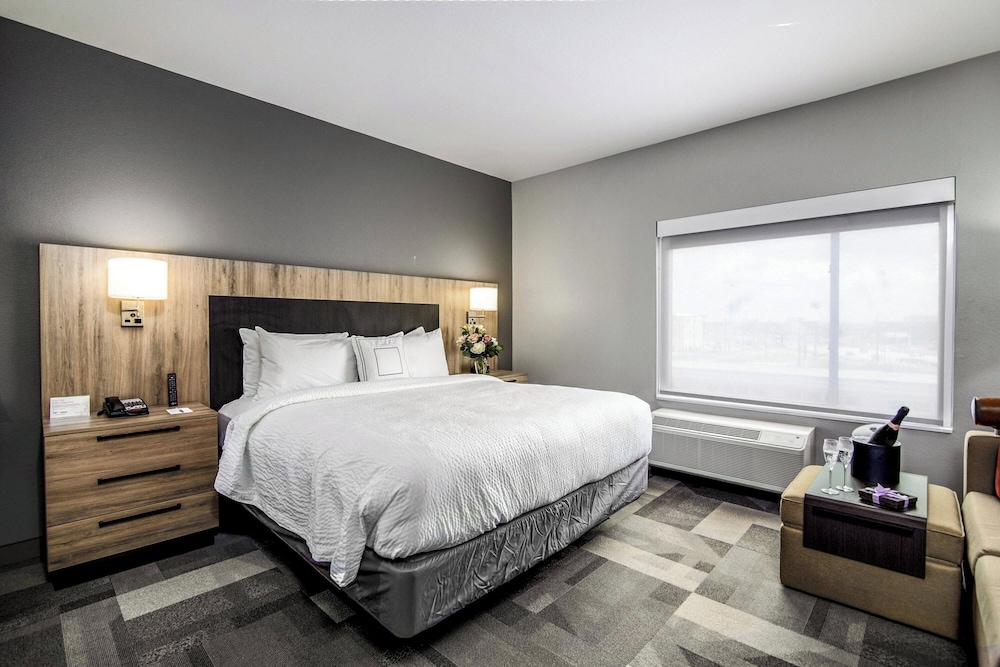 TownePlace Suites by Marriott Houston Hobby Airport - photo 21