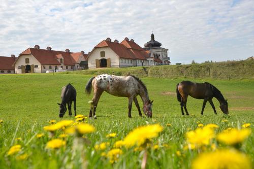 Stadnina Koni Nad Wigrami — hotel in Krasnopol