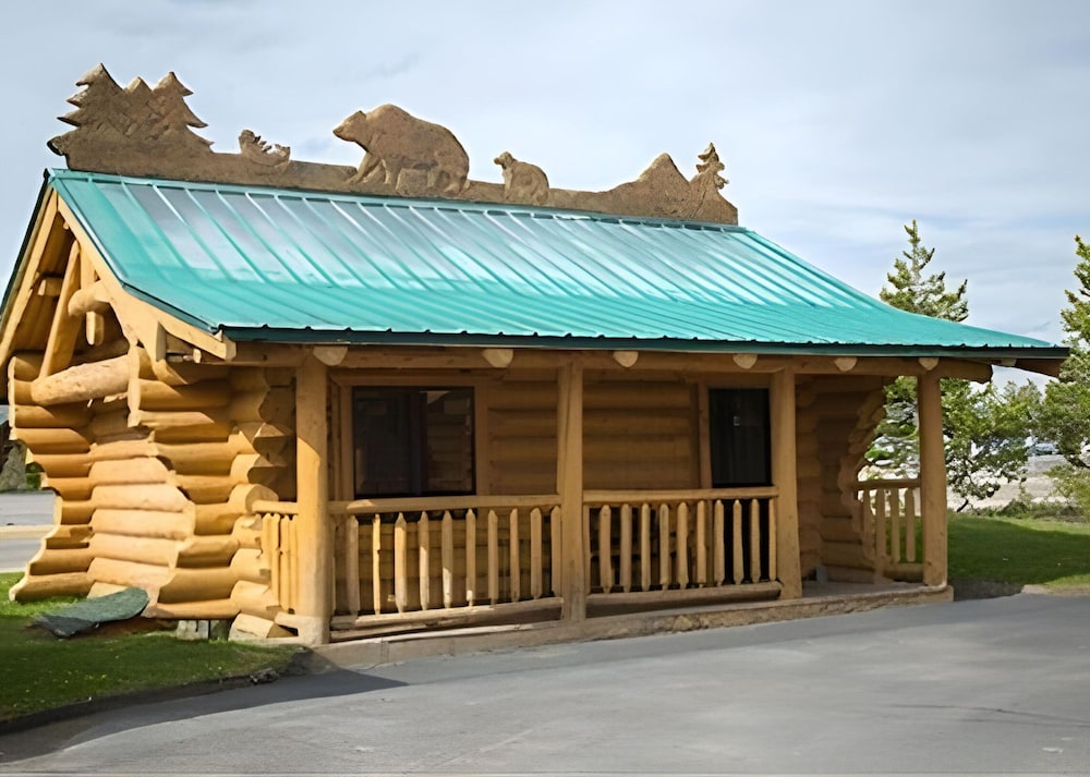 The Hibernation Station - photo 65