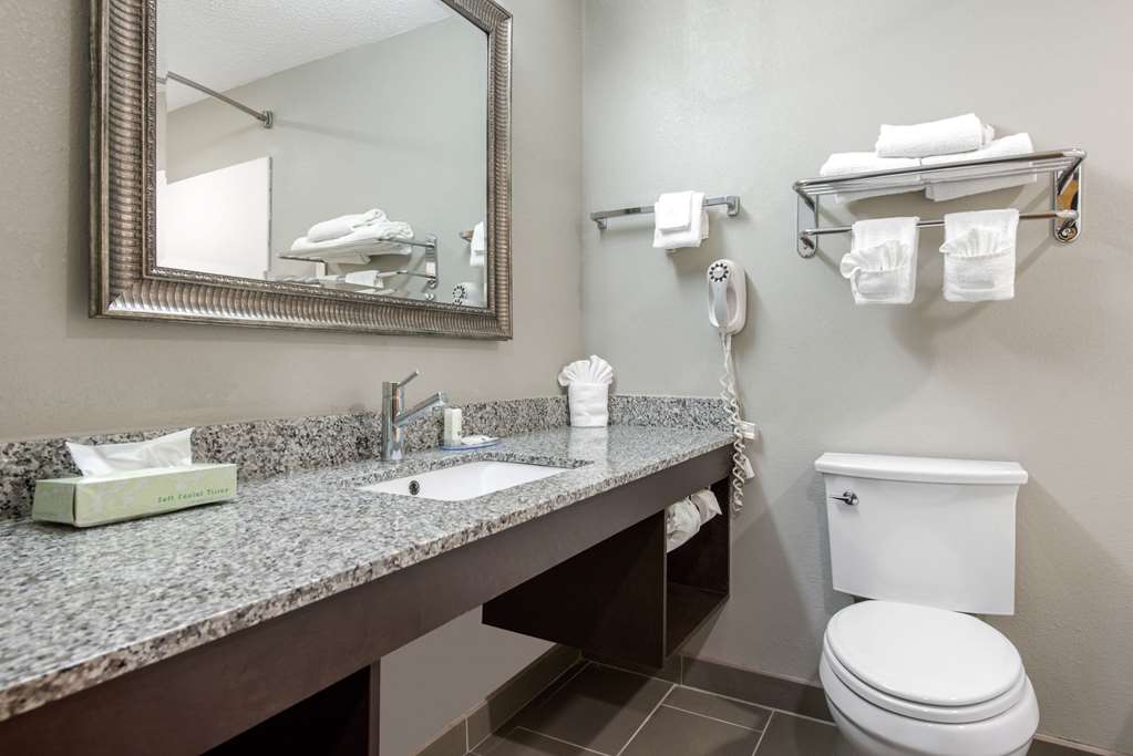 Quality Inn & Suites Brownsburg Indianapolis West - photo 16