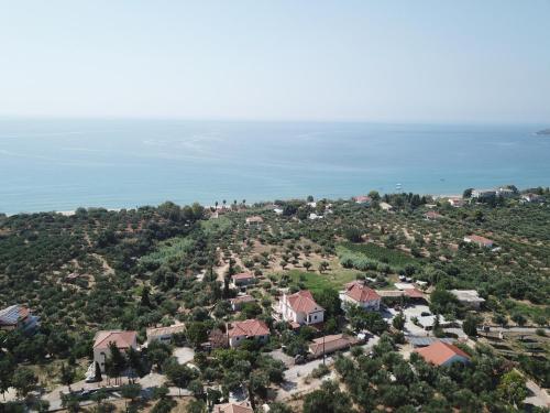 Anastassia OG — Koroni — photo 2