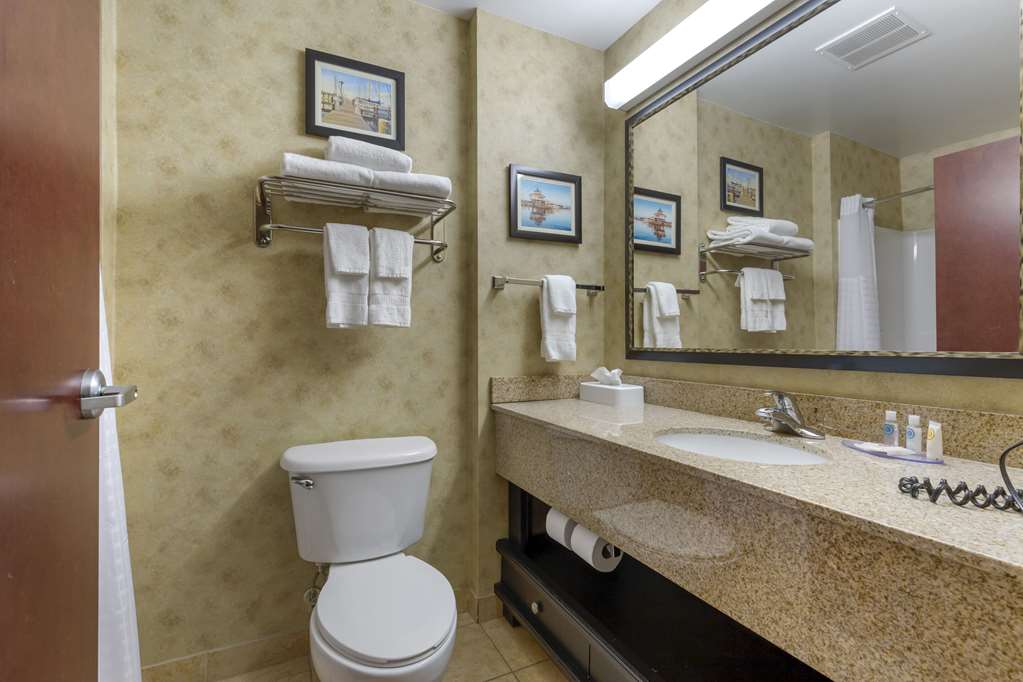 Comfort Inn & Suites Cambridge - photo 20
