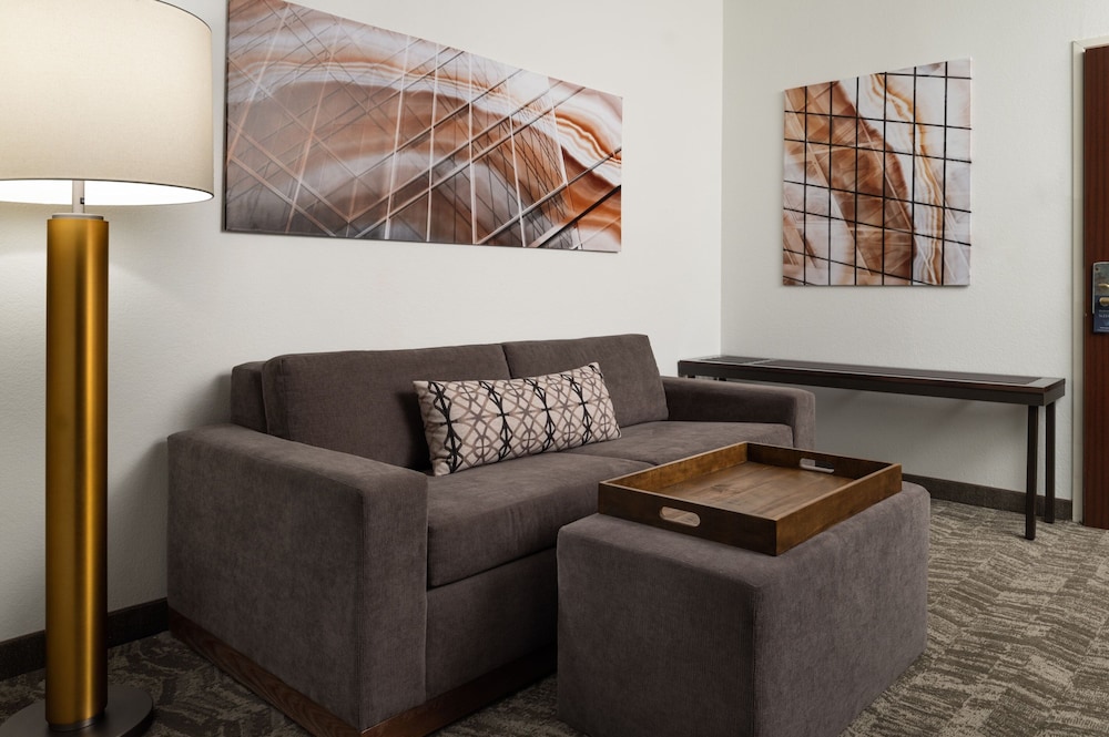 Springhill Suites By Marriott Overland Park - photo 8