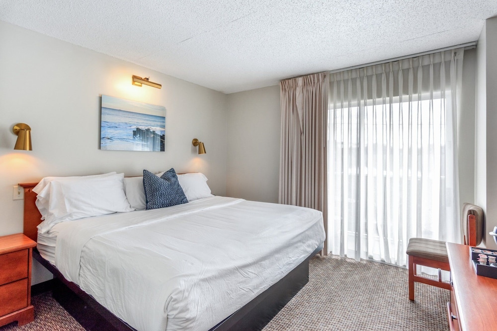 Cape Suites Motel - photo 21