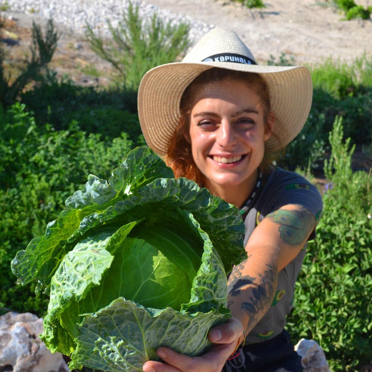 La Curuxa - carbon neutral hotel in Colunga