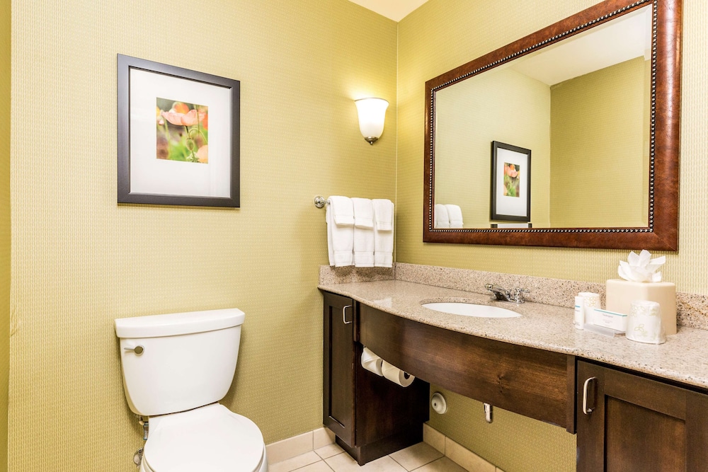 Hilton Garden Inn St. George - photo 30