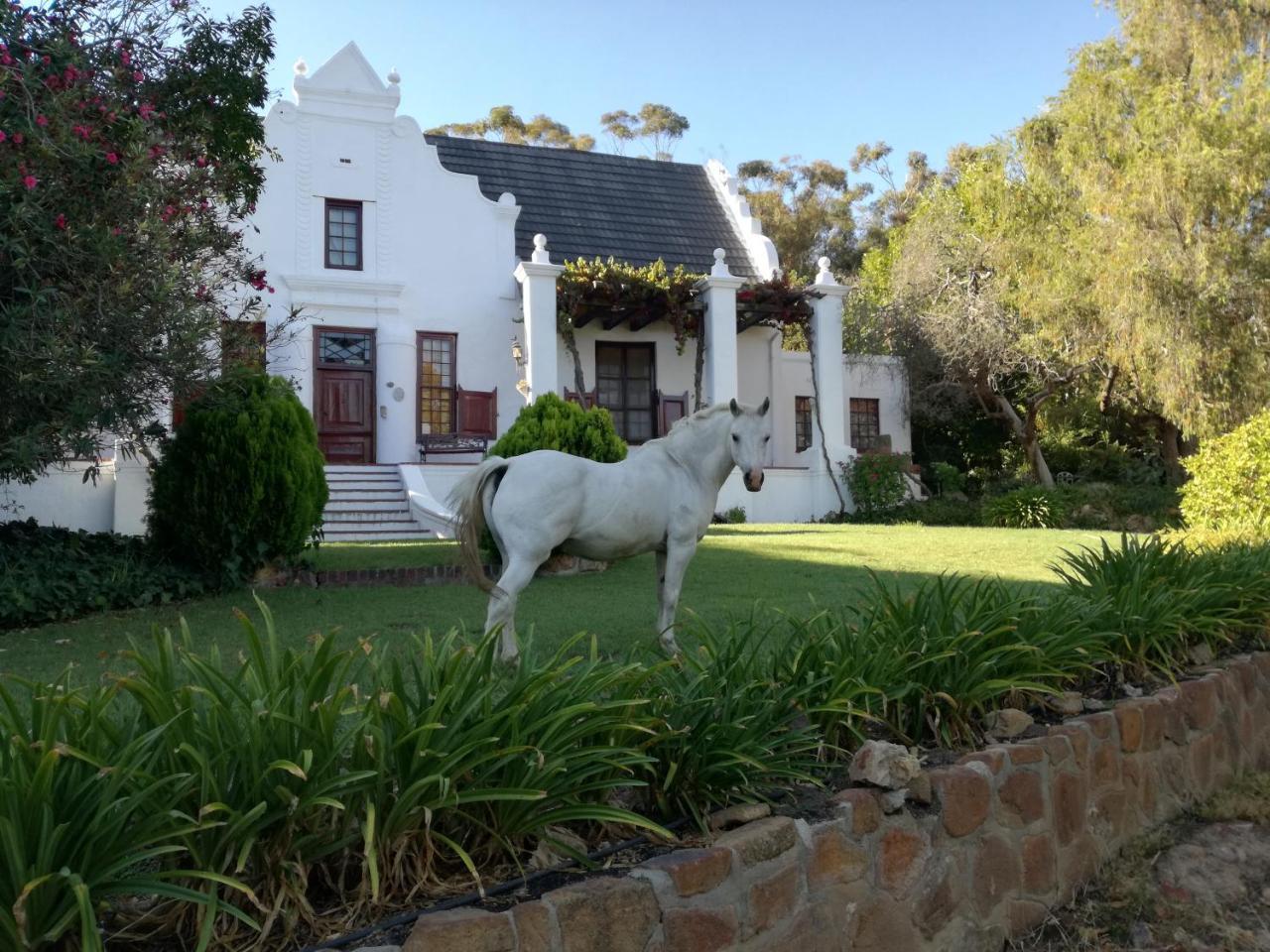 Mooiplaas Wine Estate