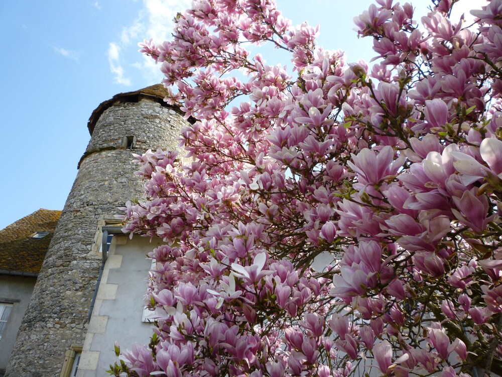 Le Relais De Chasse — hotel in Chantenay-Saint-Imbert
