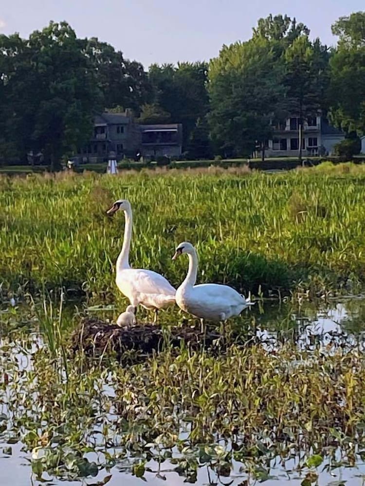 The Sanctuary On Huron River - photo 81