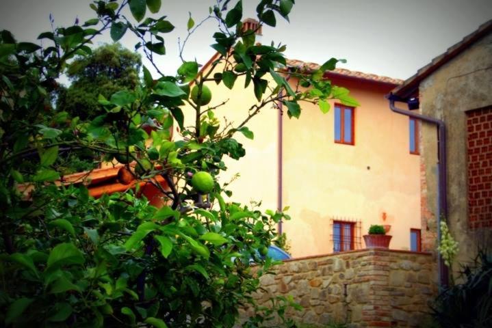 Francesca Apartment — 4-Star Luxury Hotel in Capraia E Limite, Italy