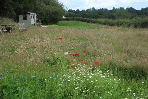 Little Idyll Shepherds Hut — hotel in Tarporley