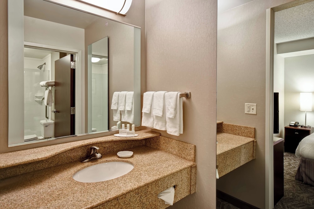 Springhill Suites by Marriott Louisville Airport - photo 27