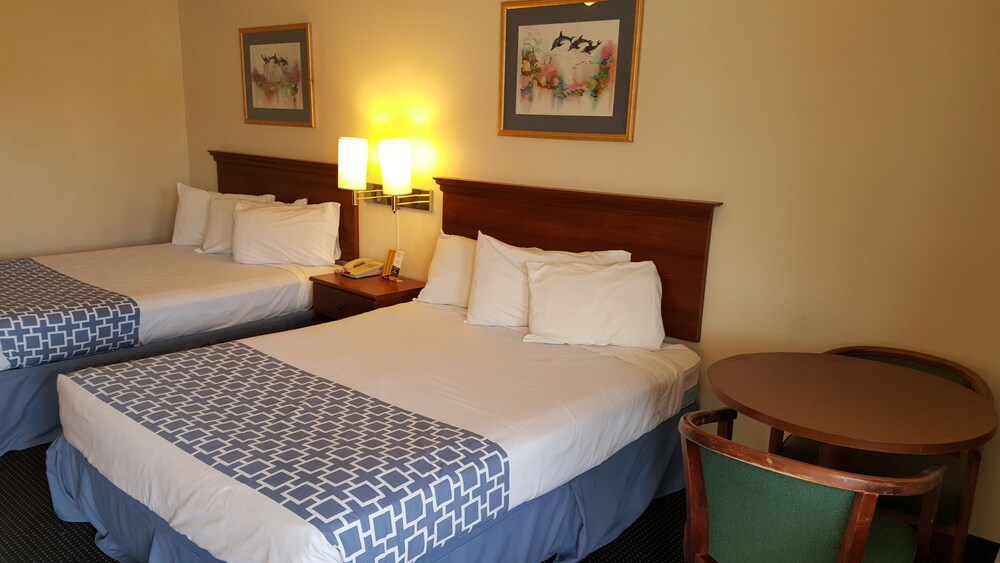 Flamingo Inn - photo 4
