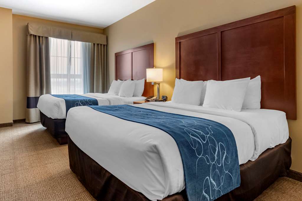 Comfort Suites Airport University - photo 19