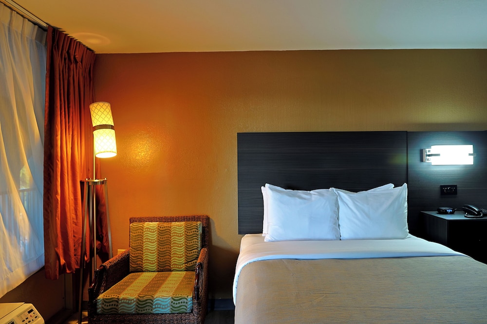 Quality Inn Kennedy Space Center - photo 21