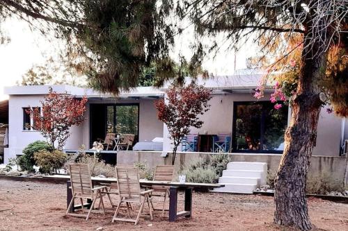 Coralia's Beachfront Sea View Studio — hotel in Agioi Theodoroi