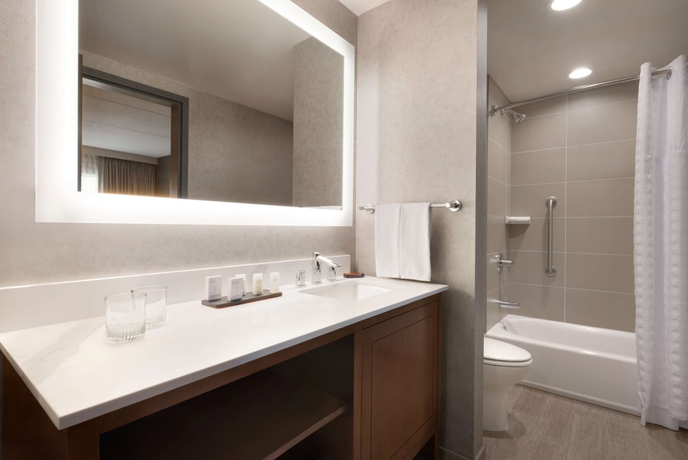 Embassy Suites by Hilton Chicago Naperville - photo 12