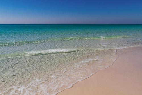 Beach Manor 0812 - photo 46