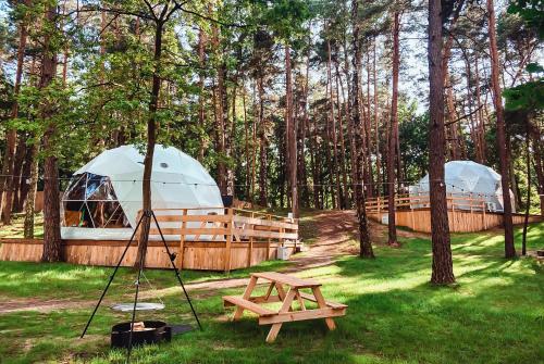 Planeta Glamping pet-friendly hotel Zalesie Gorne