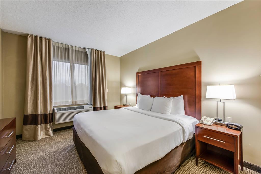 Comfort Suites Chicago O'Hare Airport - photo 14